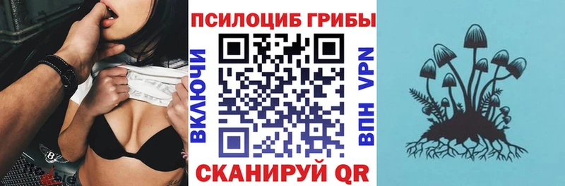 Галлюциногенные грибы Psilocybine cubensis  Купить где  Мамадыш 